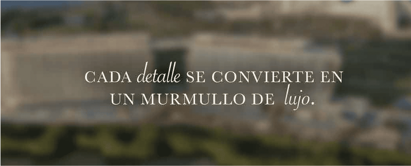 Gestión de marca por BWE Agency en Cancún Gestión de marca por BWE Agency en Cancún