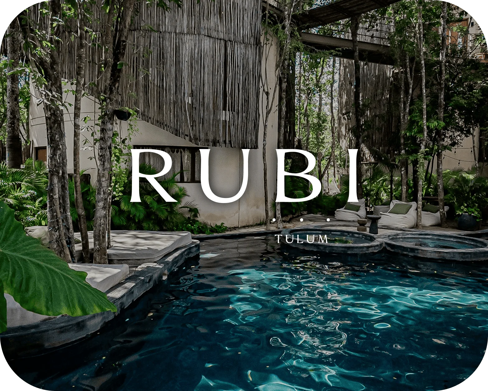 Agencia de desarrollo web - BWE Agency