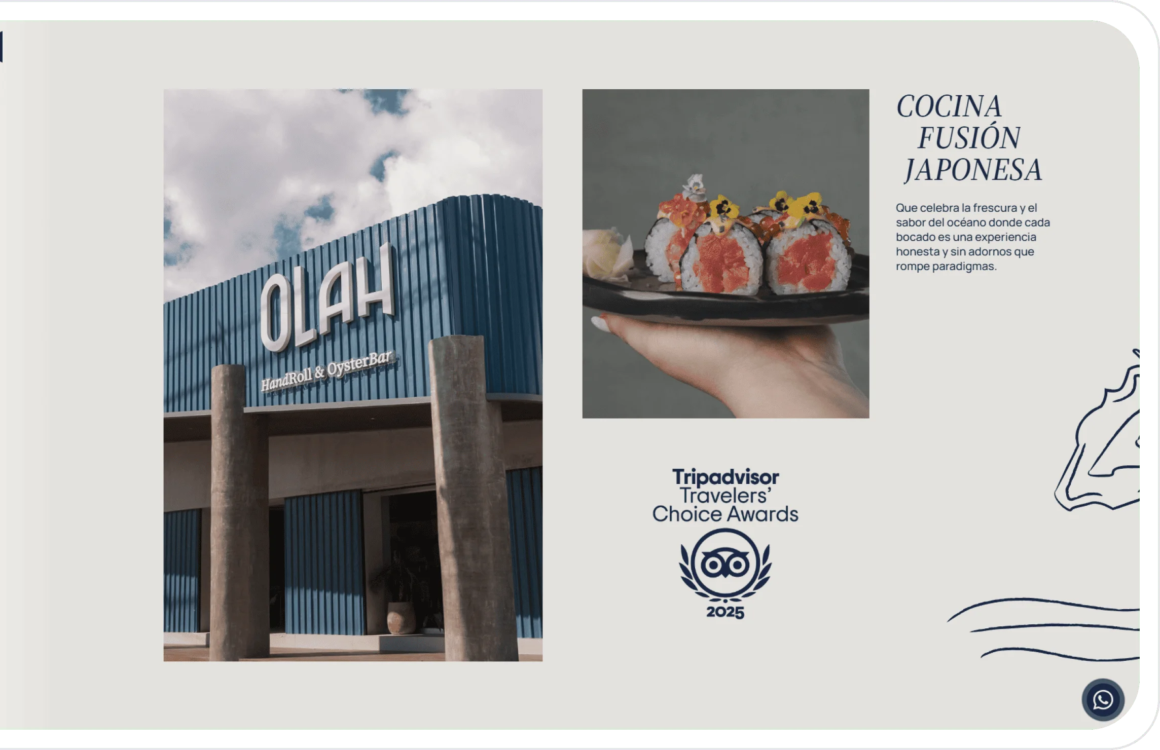 Desarrollo web para Olah Handroll and Oyster Bar - BWE Agency Agencia de Marketing