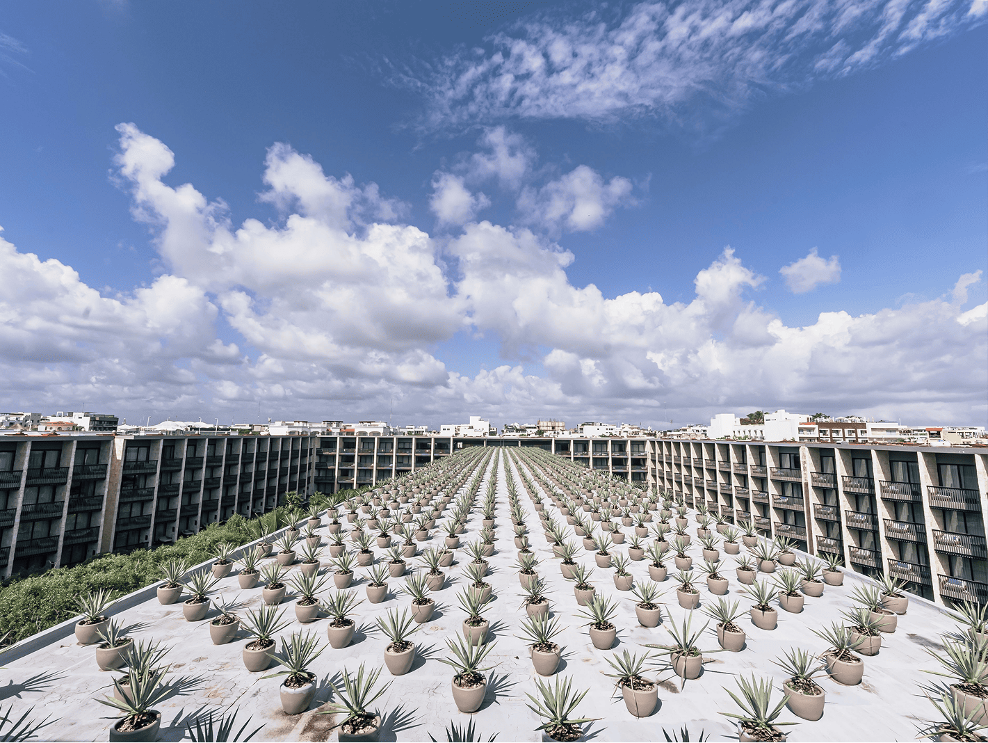 Foto SLS por BWE AGENCY