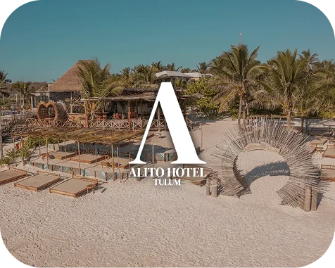 Agencia de desarrollo web - BWE Agency